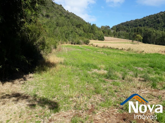 Imagem Imóvel à Venda, 95 m² em Linha Araripe - Nova Petrópolis Imagem Imóvel à Venda, 95 m² em Linha Araripe - Nova Petrópolis