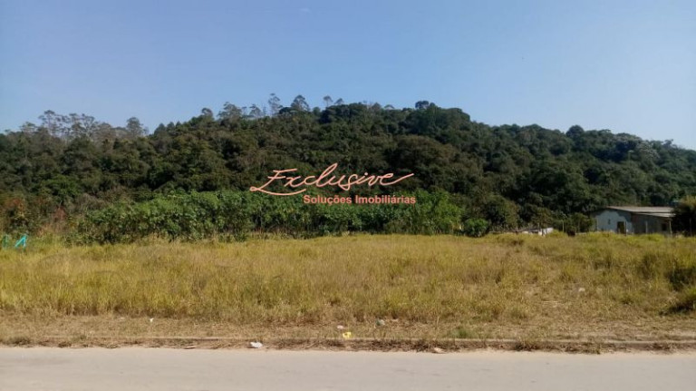 Imagem Chácara à Venda, 4.000 m² em Ipelândia - Suzano Imagem Chácara à Venda, 4.000 m² em Ipelândia - Suzano