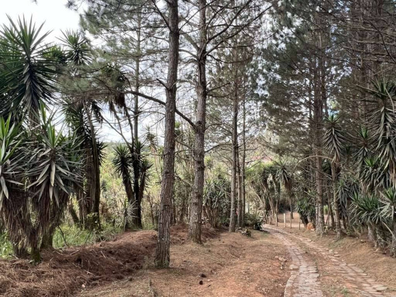 Imagem Terreno à Venda, em Taboleiro Verde - Cotia Imagem Terreno à Venda, em Taboleiro Verde - Cotia