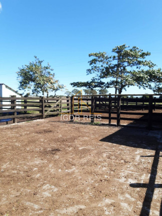 Imagem Fazenda à Venda, 277 m² em Quissamã Imagem Fazenda à Venda, 277 m² em Quissamã