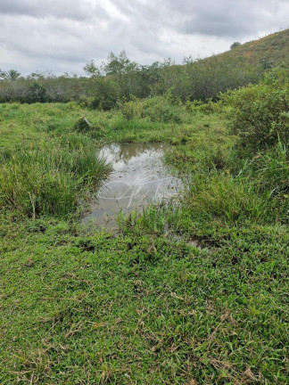 Imagem Terreno à Venda ou Locação, 5.000 m² em Santo Antônio - Serra