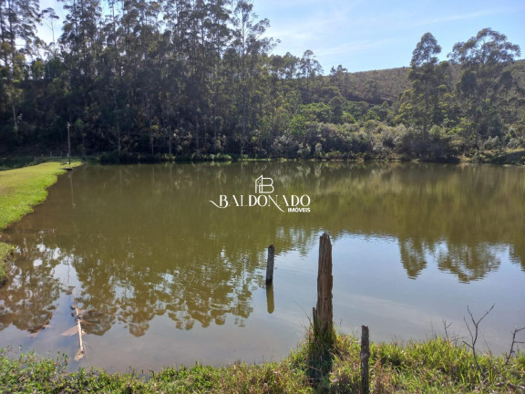 Imagem Fazenda à Venda, 600 m² em Barranco - Joanopolis Imagem Fazenda à Venda, 600 m² em Barranco - Joanopolis
