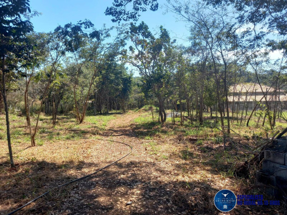 Imagem Chácara à Venda, 5 m² em Jardim Barcelona - Bela Vista De Goiás Imagem Chácara à Venda, 5 m² em Jardim Barcelona - Bela Vista De Goiás