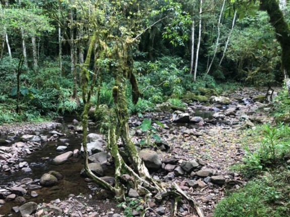 Imagem Imóvel com 2 Quartos à Venda, 80 m² em Linha Pirajá Baixa - Nova Petrópolis
