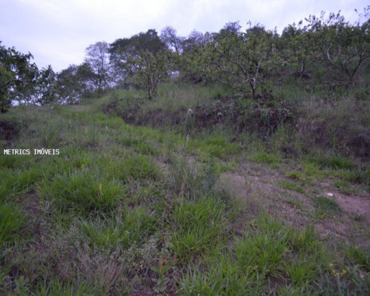 Imagem Imóvel à Venda, 5.000 m² em São José Da Pedra Santa - Jundiaí Imagem Imóvel à Venda, 5.000 m² em São José Da Pedra Santa - Jundiaí