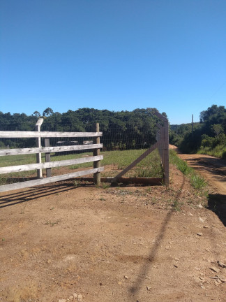 Imagem Imóvel com 2 Quartos à Venda, 28.600 m² em Passo Da Areia - Viamão Imagem Imóvel com 2 Quartos à Venda, 28.600 m² em Passo Da Areia - Viamão