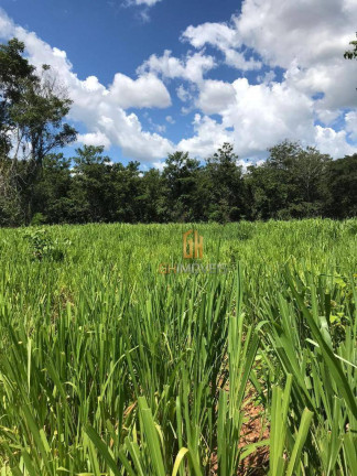 Imagem Chácara à Venda, 121.000 m² em Fazenda - Itapirapuã Imagem Chácara à Venda, 121.000 m² em Fazenda - Itapirapuã