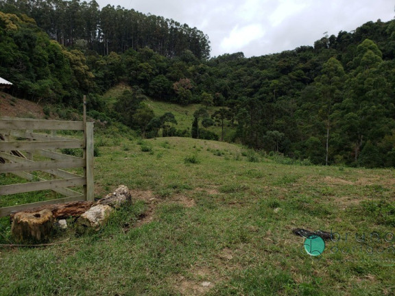 Imagem Imóvel com 3 Quartos à Venda, 250.000 m² em Zona Rural - Bom Retiro Imagem Imóvel com 3 Quartos à Venda, 250.000 m² em Zona Rural - Bom Retiro