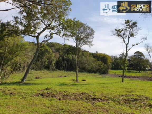 Imagem Imóvel com 1 Quarto à Venda, 30.000 m² em Cascata - Pelotas