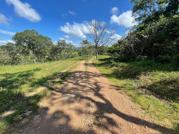 Imagem Chácara à Venda, 12 m² em Zona Rural - Vianópolis Imagem Chácara à Venda, 12 m² em Zona Rural - Vianópolis