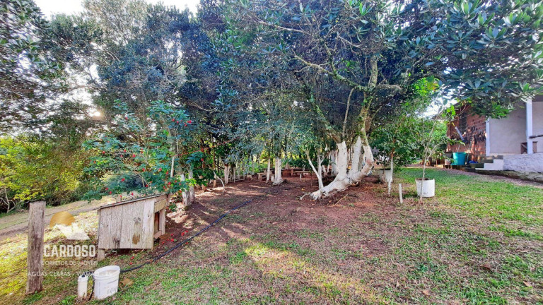 Imagem Fazenda à Venda, 30.000 m² em águas Claras - Viamão Imagem Fazenda à Venda, 30.000 m² em águas Claras - Viamão