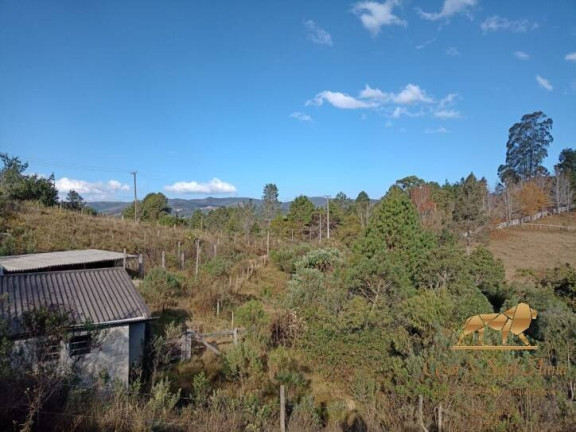Imagem Terreno à Venda, 3.200 m² em Descansópolis - Campos Do Jordão Imagem Terreno à Venda, 3.200 m² em Descansópolis - Campos Do Jordão