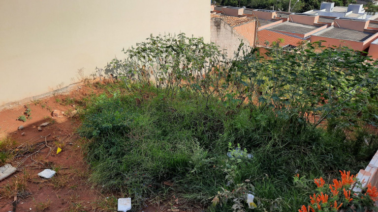 Imagem Terreno à Venda, 360 m² em São Pedro - Esmeraldas