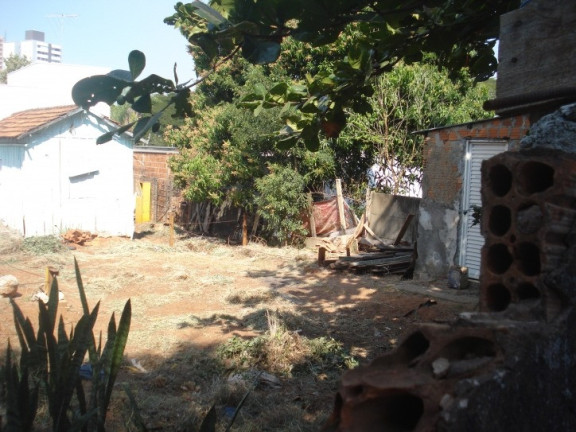 Imagem Terreno em Condomínio à Venda, 330 m² em Jardim Europa - Bauru Imagem Terreno em Condomínio à Venda, 330 m² em Jardim Europa - Bauru