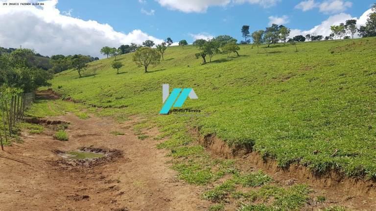 Imagem Fazenda à Venda, 128 m² em Zona Rural - Oliveira Imagem Fazenda à Venda, 128 m² em Zona Rural - Oliveira
