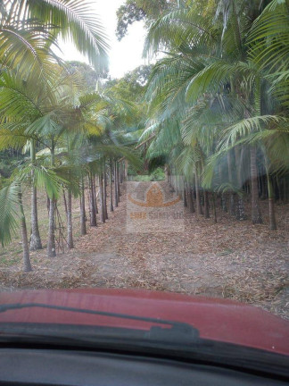 Imagem Fazenda à Venda, 72.000 m² em Padre André - Jacupiranga Imagem Fazenda à Venda, 72.000 m² em Padre André - Jacupiranga