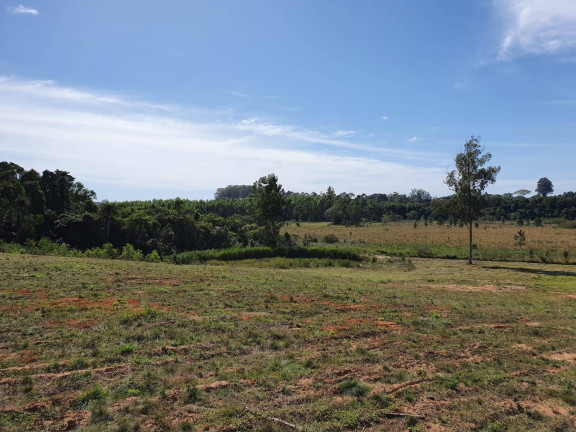 Imagem Chácara à Venda, 100 m² em Sanga Funda - Portão Imagem Chácara à Venda, 100 m² em Sanga Funda - Portão