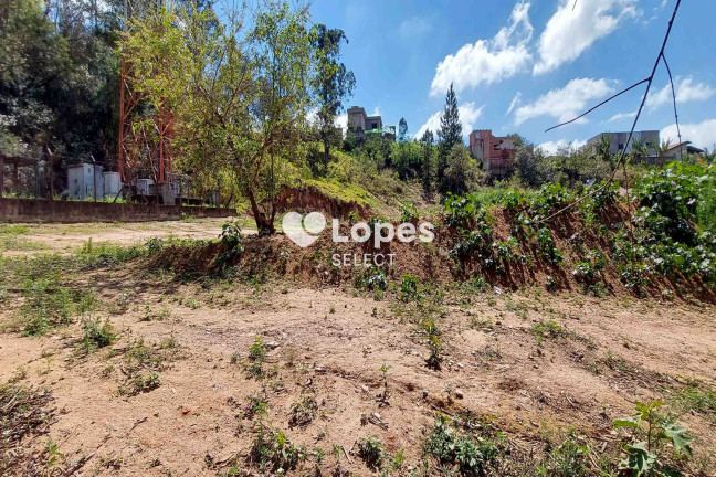 Imagem Terreno à Venda, 4.000 m² em Chácaras Alpina - Valinhos Imagem Terreno à Venda, 4.000 m² em Chácaras Alpina - Valinhos