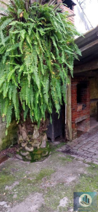 Imagem Casa com 2 Quartos à Venda, 72 m² em Laranjal - Pelotas Imagem Casa com 2 Quartos à Venda, 72 m² em Laranjal - Pelotas