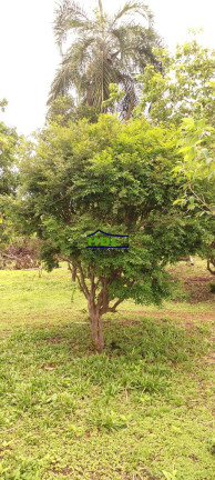 Imagem Chácara com 3 Quartos à Venda, 5 m² em Zona Rural - Hidrolândia Imagem Chácara com 3 Quartos à Venda, 5 m² em Zona Rural - Hidrolândia