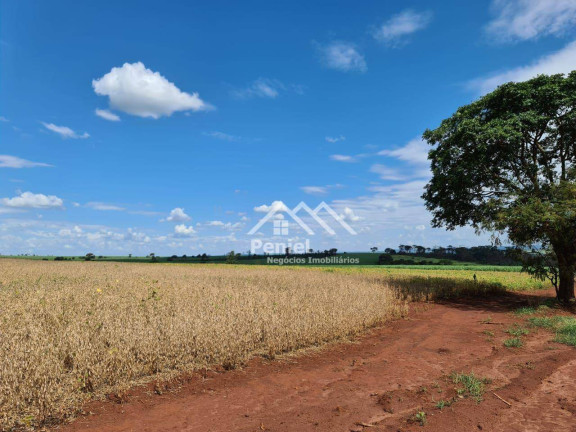 Imagem Fazenda à Venda, 500 m² em Luis Antonio - Luís Antônio Imagem Fazenda à Venda, 500 m² em Luis Antonio - Luís Antônio