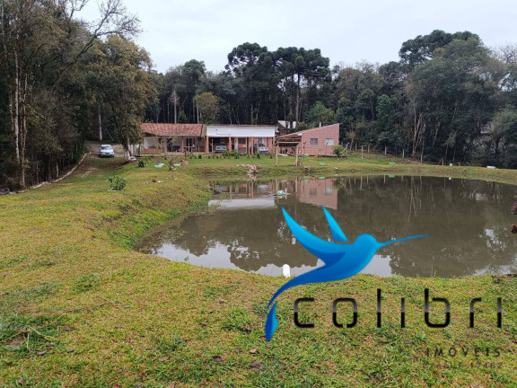 Imagem Chácara com 8 Quartos à Venda, 33.000 m² em Rio Da Várzea - Quitandinha Imagem Chácara com 8 Quartos à Venda, 33.000 m² em Rio Da Várzea - Quitandinha