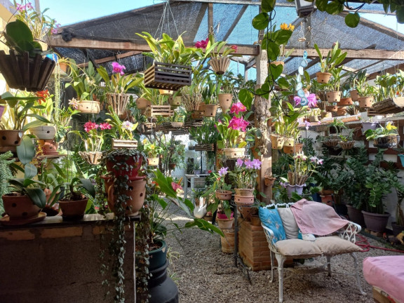 Imagem Loja à Venda, 72 m² em Parque Senhor Do Bonfim - Taubaté Imagem Loja à Venda, 72 m² em Parque Senhor Do Bonfim - Taubaté