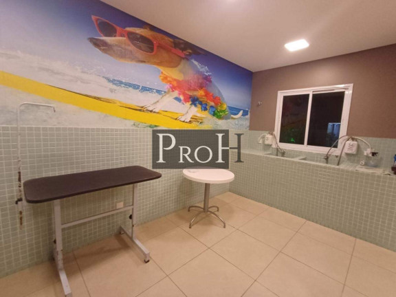 Imagem Apartamento com 2 Quartos à Venda, 62 m² em Boa Vista - São Caetano Do Sul Imagem Apartamento com 2 Quartos à Venda, 62 m² em Boa Vista - São Caetano Do Sul