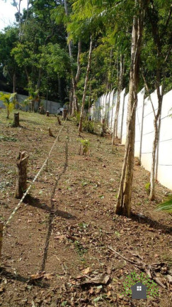 Imagem Terreno à Venda, 1 m² em Jardim Colibri - Cotia Imagem Terreno à Venda, 1 m² em Jardim Colibri - Cotia