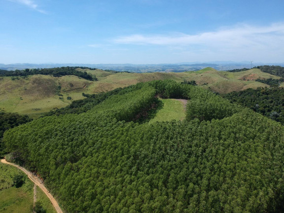 Imagem Chácara à Venda, 16 m² em Ipiabas - Barra Do Piraí Imagem Chácara à Venda, 16 m² em Ipiabas - Barra Do Piraí