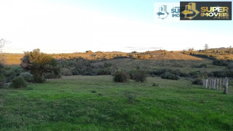 Imagem Imóvel com 2 Quartos à Venda, 260.000 m² em Centro - Piratini