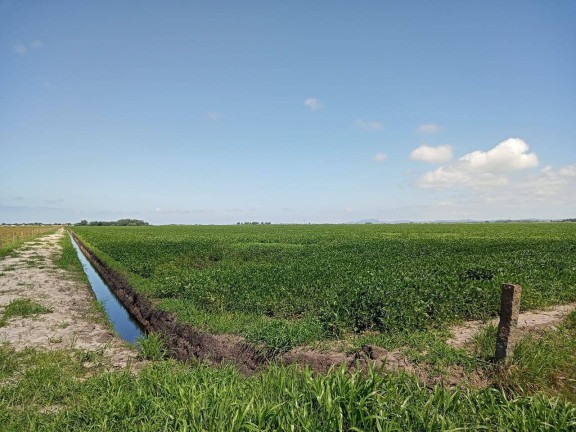 Imagem Chácara à Venda, 194 m² em águas Claras - Viamão
