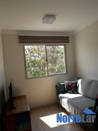 Imagem Apartamento com 3 Quartos à Venda, 59 m² em Jardim Líbano - São Paulo Imagem Apartamento com 3 Quartos à Venda, 59 m² em Jardim Líbano - São Paulo