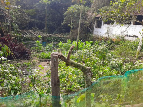 Imagem Imóvel com 2 Quartos à Venda, 1 m² em Bairro São José Do Retiro - Bananal Imagem Imóvel com 2 Quartos à Venda, 1 m² em Bairro São José Do Retiro - Bananal