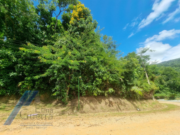 Imagem Terreno à Venda, 1.200 m² em Praia Do Pulso - Ubatuba