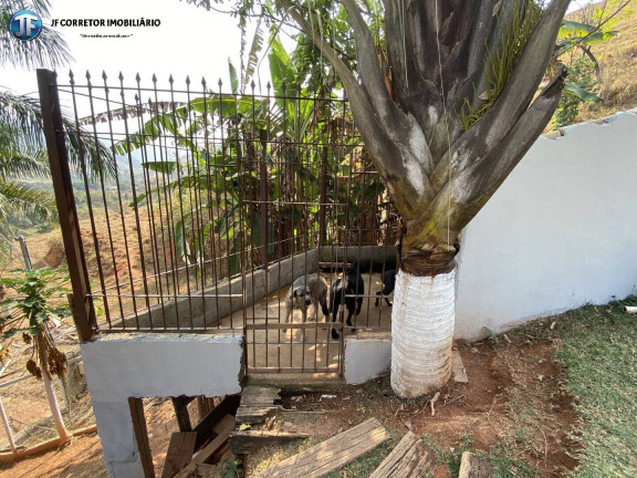 Imagem Chácara com 3 Quartos à Venda, 5.500 m² em Tribuna - Ipatinga Imagem Chácara com 3 Quartos à Venda, 5.500 m² em Tribuna - Ipatinga