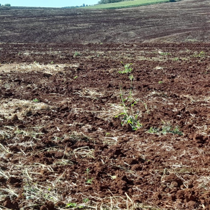 Imagem Fazenda à Venda, 14.157.000 m² em água Das Abóboras - Ibiporã Imagem Fazenda à Venda, 14.157.000 m² em água Das Abóboras - Ibiporã