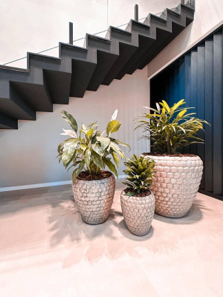 Imagem Casa com 3 Quartos à Venda, 302 m² em Sim - Feira De Santana Imagem Casa com 3 Quartos à Venda, 302 m² em Sim - Feira De Santana