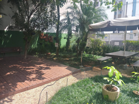 Imagem Apartamento com 3 Quartos à Venda, 56 m² em Aclimação - São Paulo
