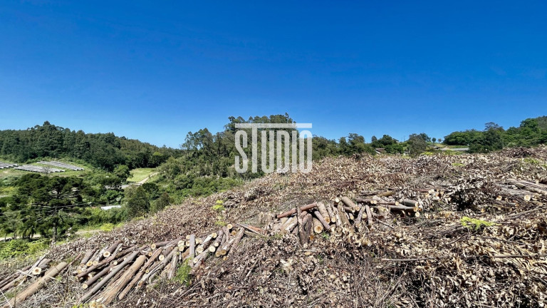 Imagem Terreno à Venda, 11.990 m² em Operário - Barão Imagem Terreno à Venda, 11.990 m² em Operário - Barão