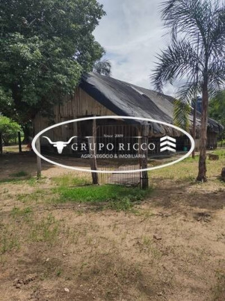 Imagem Fazenda à Venda, 1.500 m² em Zona Rural - Nova Xavantina Imagem Fazenda à Venda, 1.500 m² em Zona Rural - Nova Xavantina