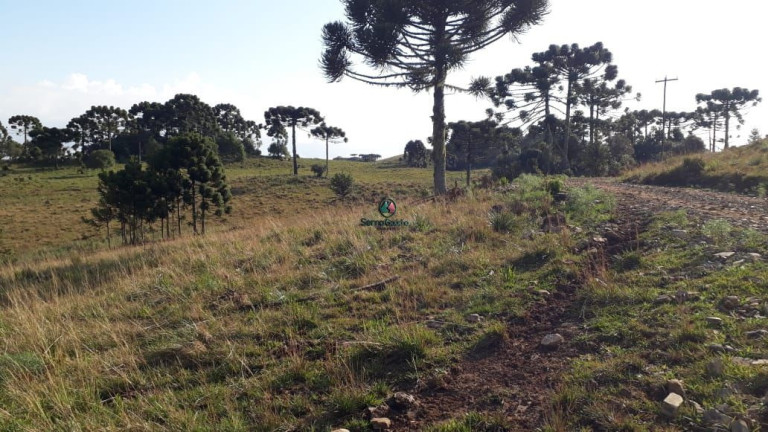 Imagem Terreno à Venda, 316.000 m² em São Francisco De Paula - São Francisco De Paula Imagem Terreno à Venda, 316.000 m² em São Francisco De Paula - São Francisco De Paula