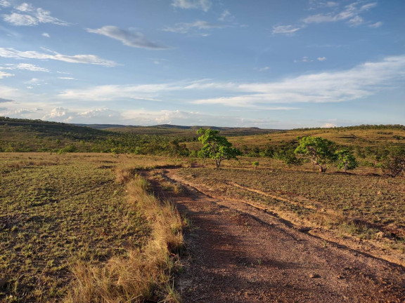 Imagem Fazenda à Venda, 1.046 m² em Arinos - Arinos
