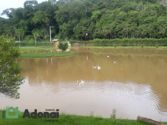 Imagem Chácara com 4 Quartos à Venda, 350 m² em Jarinu - Jarinu Imagem Chácara com 4 Quartos à Venda, 350 m² em Jarinu - Jarinu