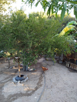Imagem Casa com 3 Quartos à Venda, 180 m² em Melo Viana - Esmeraldas Imagem Casa com 3 Quartos à Venda, 180 m² em Melo Viana - Esmeraldas