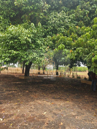 Imagem Fazenda à Venda, 60 m² em área Rural - Pedranópolis Imagem Fazenda à Venda, 60 m² em área Rural - Pedranópolis