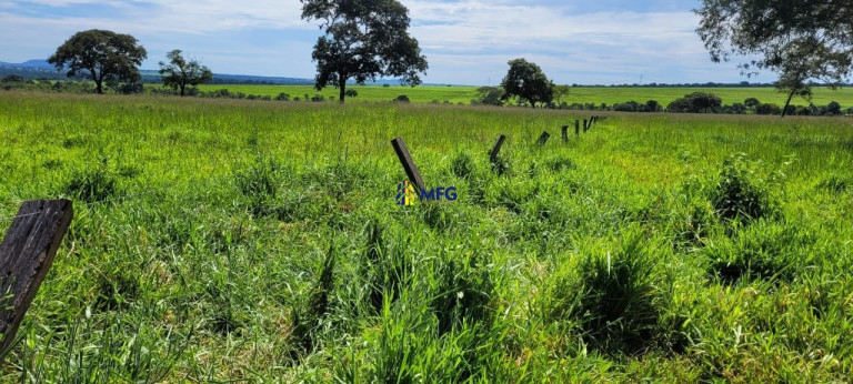 Imagem Chácara à Venda, em Iturama - União Imagem Chácara à Venda, em Iturama - União