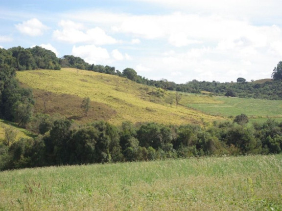 Imagem Imóvel à Venda, 435.600 m² em Zona Rural - Jacui