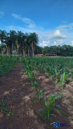 Imagem Chácara à Venda, 1 m² em Zona Rural - Guapó Imagem Chácara à Venda, 1 m² em Zona Rural - Guapó