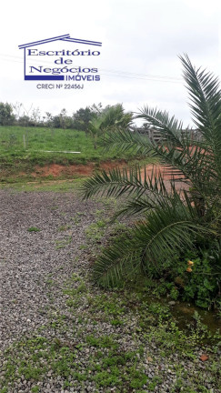 Imagem Imóvel com 3 Quartos à Venda, 120 m² em Cerro Chato - Sentinela Do Sul Imagem Imóvel com 3 Quartos à Venda, 120 m² em Cerro Chato - Sentinela Do Sul